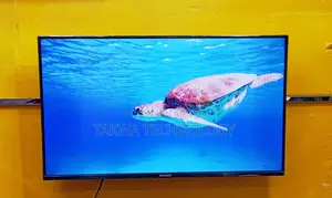 SINGER 43 Inch Android Frameless Voice Control TV