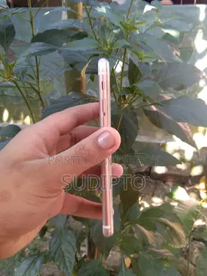 Apple iPhone 6S (64GB) (Used)