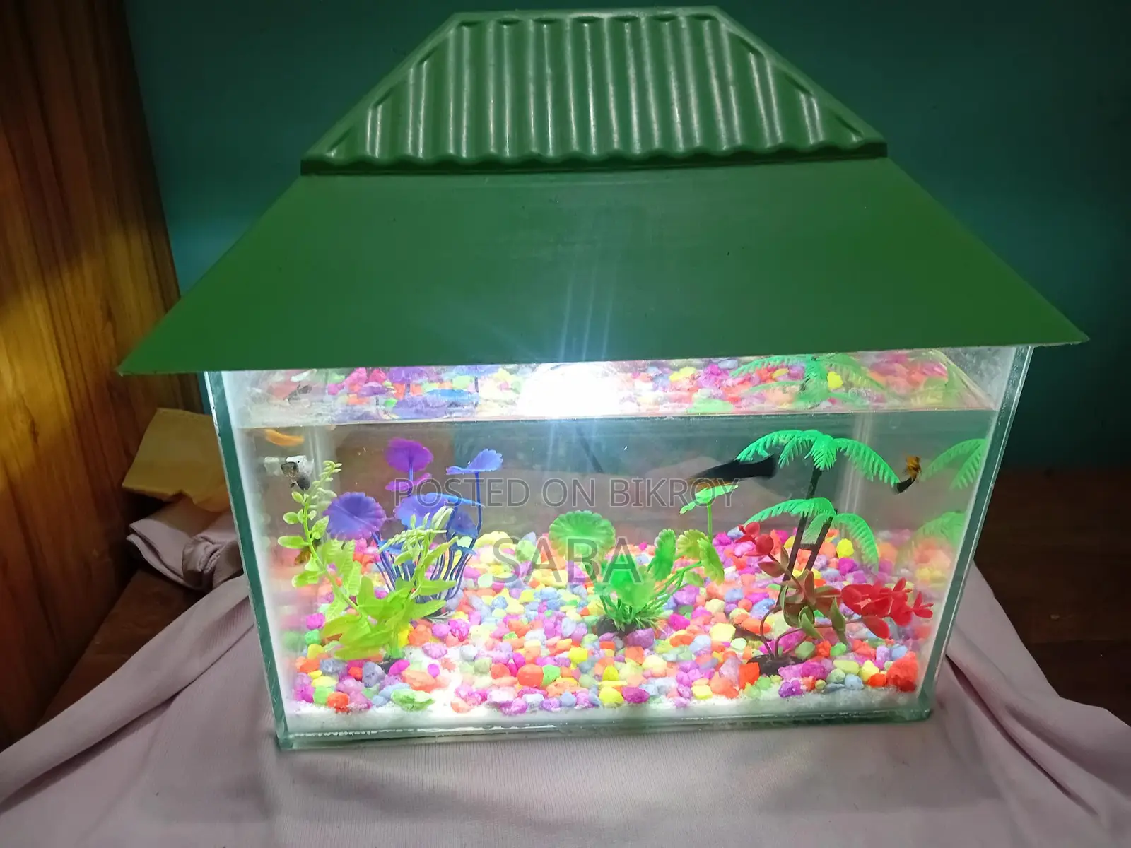 Aquarium for sale with fish, light, and stones
