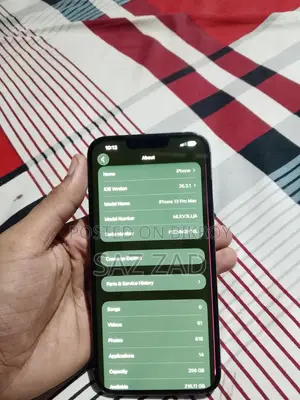 Apple iPhone 13 Pro Max (Used)
