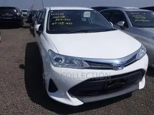 Toyota Axio EX 2021