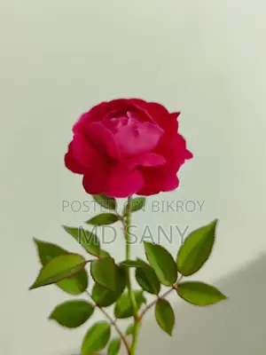 কম্পিউটারের কেসিং বিক্রি করা হবে