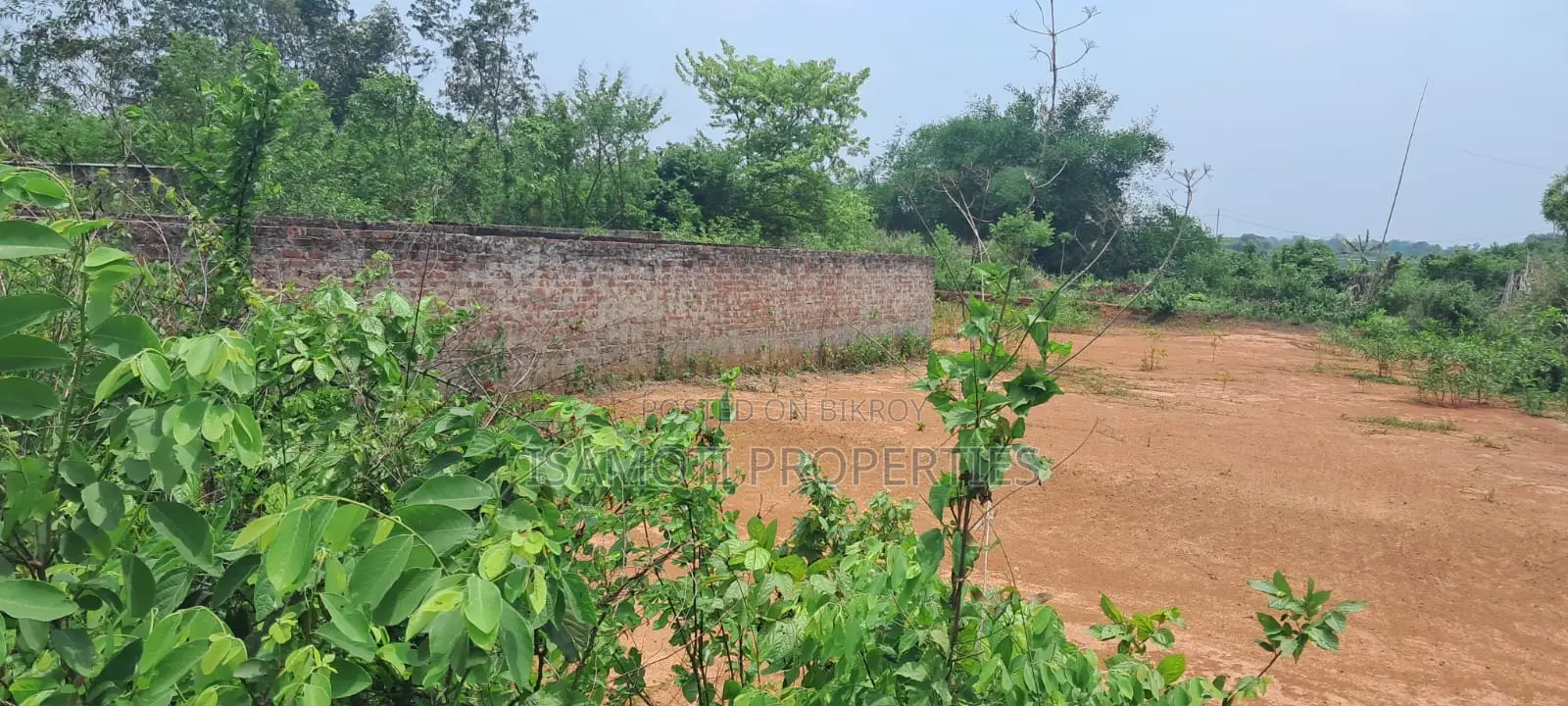 Alloti 3 Katha Plot for Sale at Purbachal