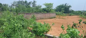 Alloti 3 Katha Plot for Sale at Purbachal
