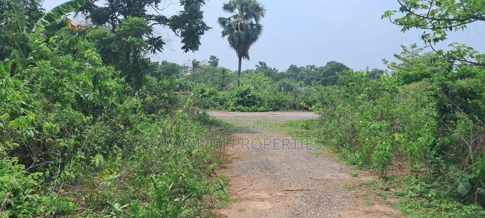 Alloti 3 Katha Plot for Sale at Purbachal