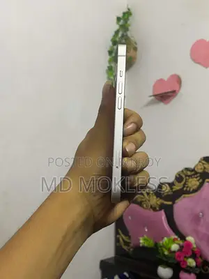 Apple iPhone 13 (Used)