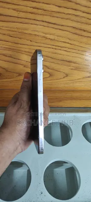 Apple iPhone 12 Pro Max 256GB Silver (Used)