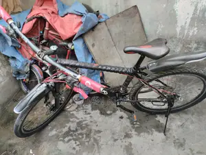Bicycle for Sale