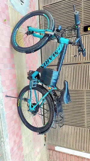 We specialize in converting normal bicycles into electric bicycles.