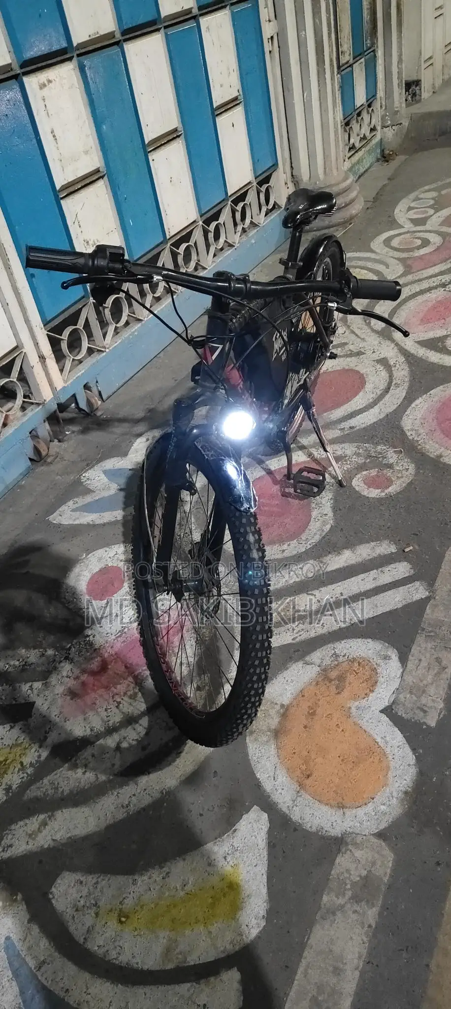 We specialize in converting normal bicycles into electric bicycles.