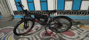 We specialize in converting normal bicycles into electric bicycles.