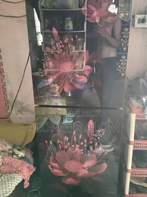 Fridge for Sale