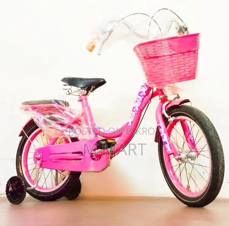 16" Pinkee Phoenix baby 4 to 8 best reconditioned