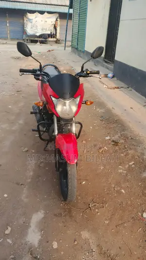 Suzuki Hayate 2023