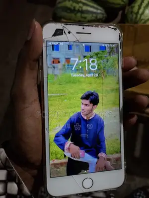 Apple iPhone 7 Plus (Used)