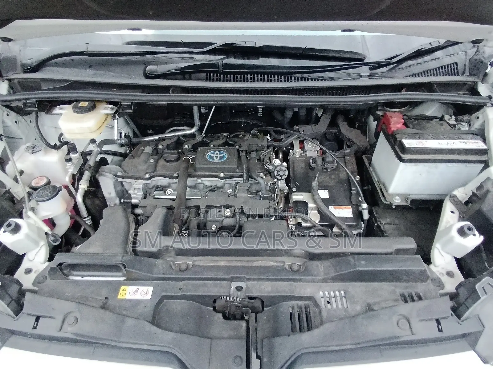 Toyota Noah Hybrid X Pearl 2022
