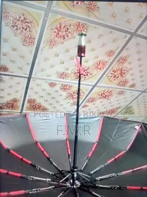 Bmw Umbrella 12 Ribs