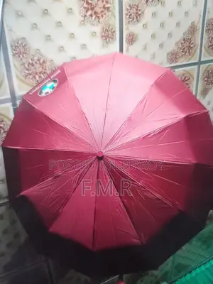 Bmw Umbrella 12 Ribs