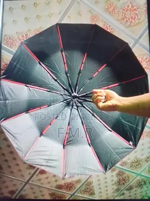 Bmw Umbrella 12 Ribs