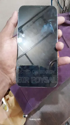 Apple iPhone 12 Pro Max (Used)