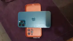 Apple iPhone 12 Pro Max (Used)