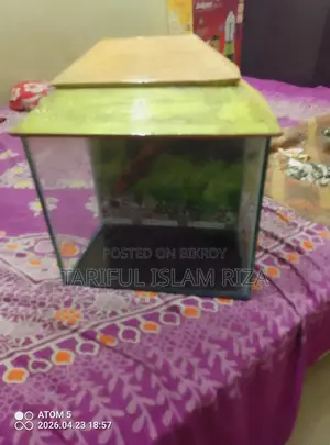 একুরিয়াম সম্পূূর্ণ সেট