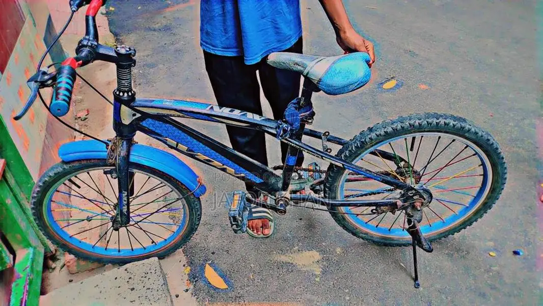 Duranta Bicycle for sale