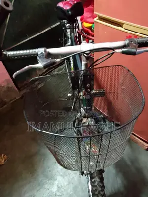 Ranger Max Bicycle