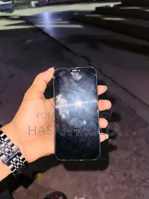 Apple iPhone 12 Pro (Used)