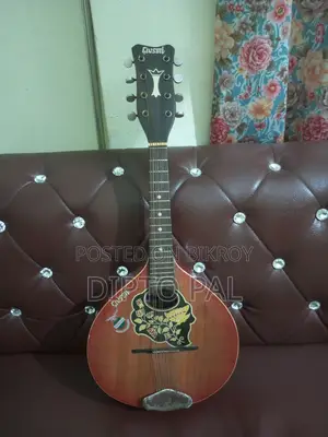 Mandolin