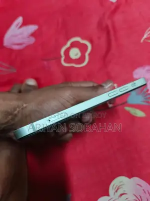 Apple iPhone 12 (Used)