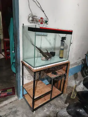 Modern Aquarium with Full Setup!