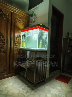 Modern Aquarium with Full Setup!