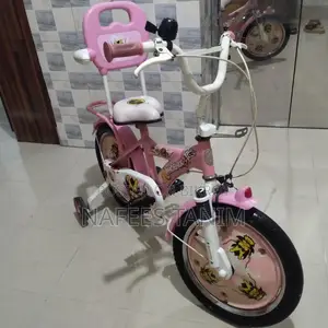 Phoenix Bicycle for Young Girls (Good Condition)