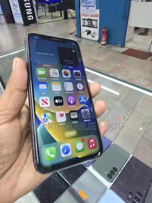 Apple iPhone X 256Gb (Used)