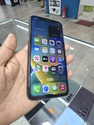 Apple iPhone X 256Gb (Used)