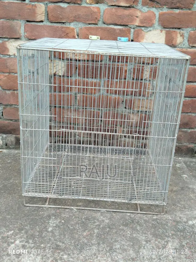 পাখির খাঁচা চায়না