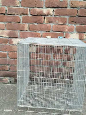 পাখির খাঁচা চায়না