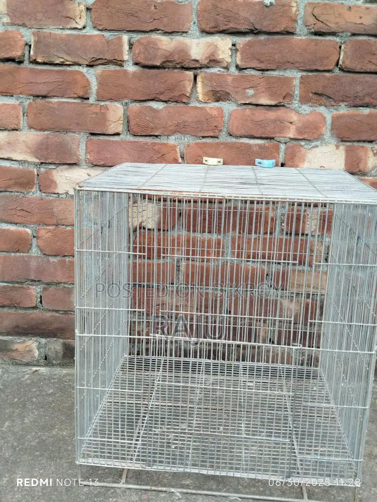 পাখির খাঁচা চায়না