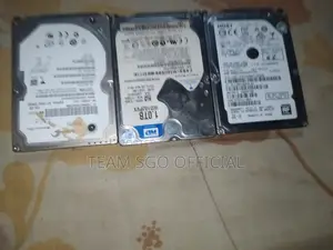 1tb Laptop Hdd (wd / Hgst Seagate) – Tested, No Bad Sector