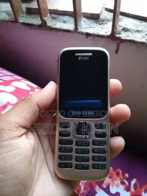 Samsung B313E (Used)