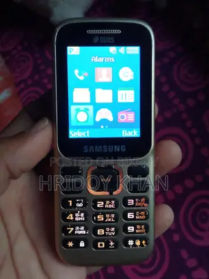 Samsung B313E (Used)