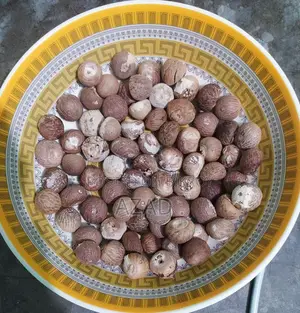 Betel Nut for Sale