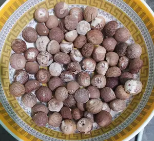 Betel Nut for Sale