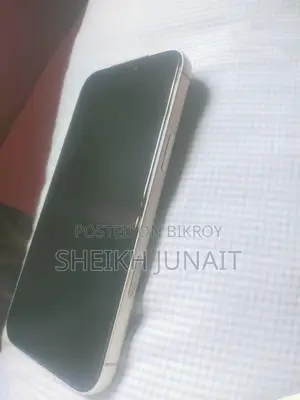 Apple iPhone 17 Pro Max 256 GB Silver