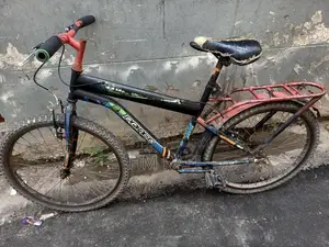 Prince Cycle