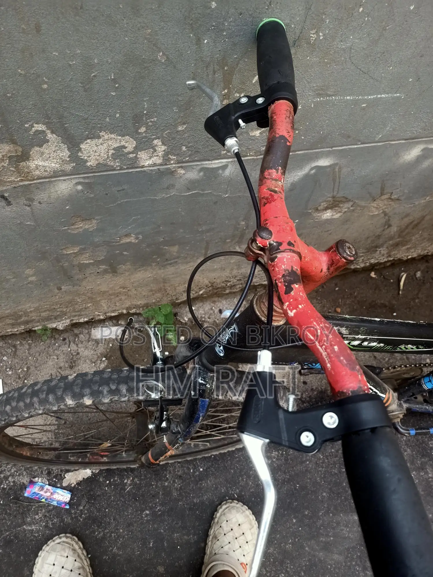 Prince Cycle