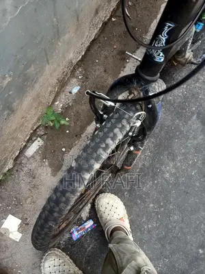 Prince Cycle