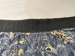 Boxer