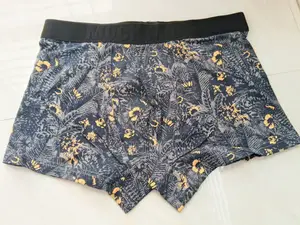 Boxer
